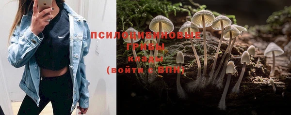 МДПВ Абаза
